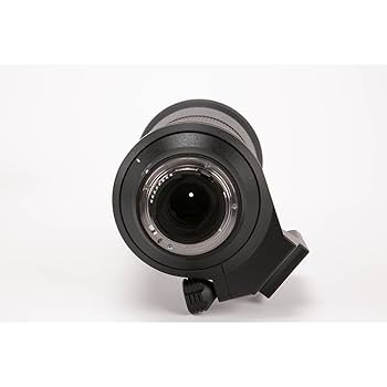 Amazon.com : Tamron SP 150-600mm F/5-6.3 Di VC USD for Nikon